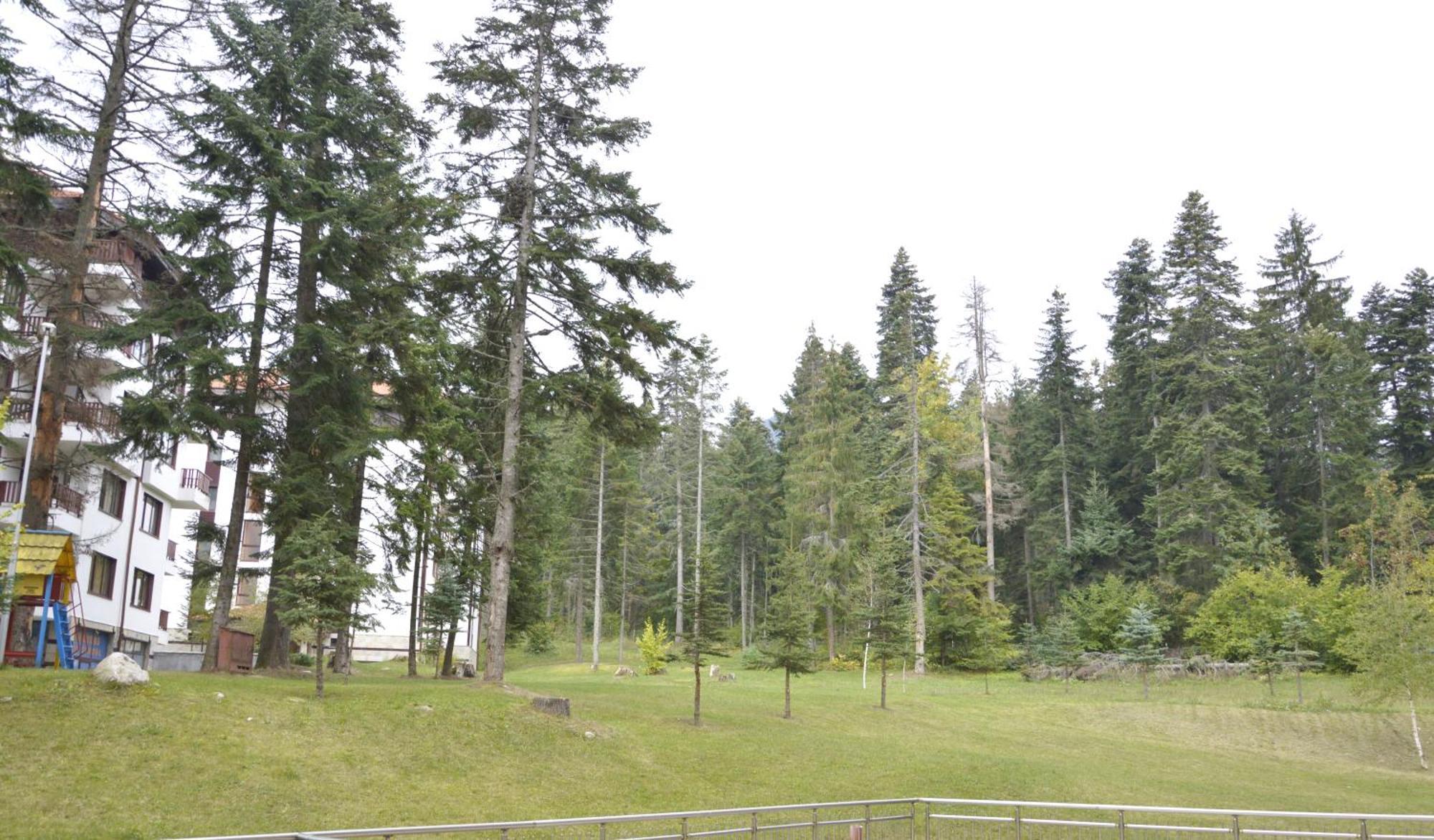 Persey Flora Apartments Borovets Esterno foto
